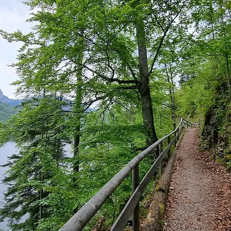 招待所 拉德纳旅馆 3*