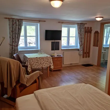 Ladner Guest house 3*