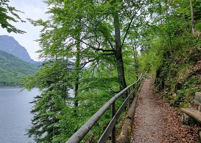 招待所 拉德纳旅馆 3*