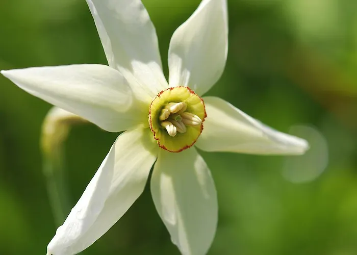 招待所 拉德纳旅馆 3*