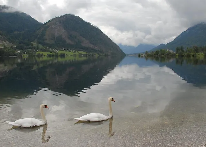 Ladner Гостевой дом