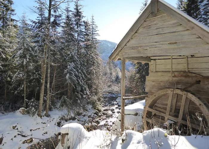 招待所 拉德纳旅馆 3*